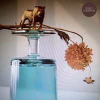 Beirut - Gallipoli vinyl cover