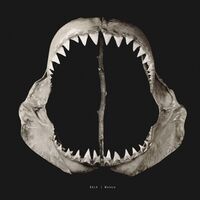 Bala - Maleza Black vinyl cover