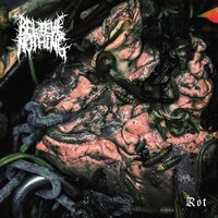 Believe in Nothing - Rot vinyl cover