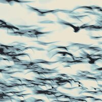 Bellbird - The Call vinyl cover