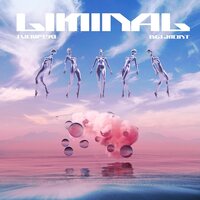 Belmont - Liminal vinyl cover