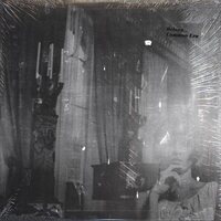 BELONG - Common Era vinyl cover