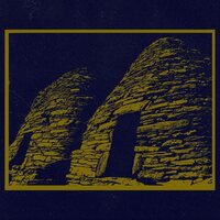 Belonging - Hollow Cells vinyl cover