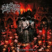 Belphegor - Pestapocalypse VI vinyl cover