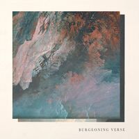 Ben & Felix Skinner Chisholm - Burgeoning Verse vinyl cover