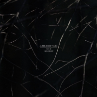 Ben Frost - Super Dark Times Music From The Motion Picture  Picture vinyl cover