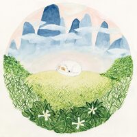 Ben Hackett - Songs for Sleeping Dogs vinyl cover