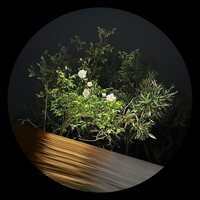 Ben La Desh - Fine Rise vinyl cover