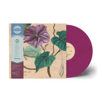 Ben Lamar Gay - Yowzers (Pink) vinyl cover