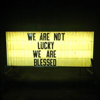 Ben Trickey - We Are Not Lucky We Are Blessed vinyl cover