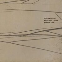 Benaud Trio - Empyrean Traces vinyl cover