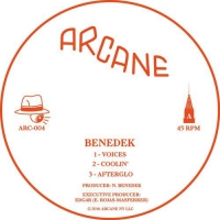 Benedek - Coolin vinyl cover