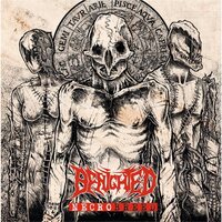 Benighted - Necrobreed (Red Marble) vinyl cover