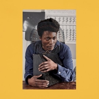 Benjamin Clementine - I Tell A Fly vinyl cover