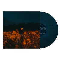 Benjamin Francis Leftwich - Some Things Break ('Evening Sky') vinyl cover