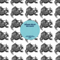 Benjamin Froehlich - Rude Remixes vinyl cover
