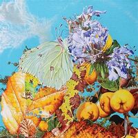 Bennett Wilson Poole - I Saw A Star Behind Your Eyes, Don't Let It Die vinyl cover