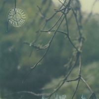 Benoit Pioulard - Lignin Poise vinyl cover