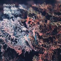 Benoit Pioulard - Sylva vinyl cover
