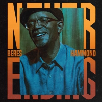 Beres Hammond - Never Ending vinyl cover