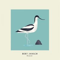 Bert Jansch - Avocet - Expanded Anniversary Edition vinyl cover