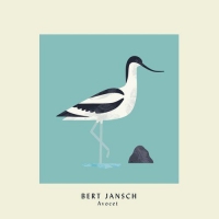 Bert Jansch - Avocet vinyl cover