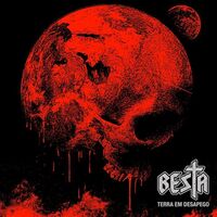 Besta - Terra Em Desapego vinyl cover