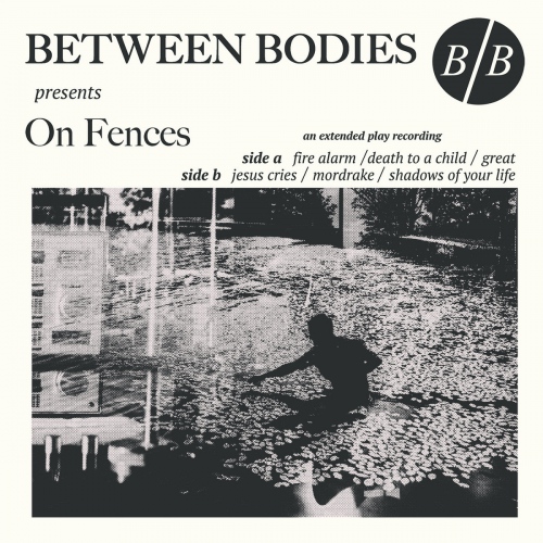 Between Bodies - On Fences vinyl cover