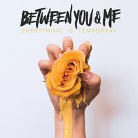 Between You & Me - Everything Is Temporary vinyl cover