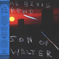 Bevis Frond - Son Of Walter vinyl cover