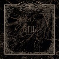Bhleg - Draumr Ast vinyl cover