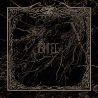 Bhleg - Draumr Ast vinyl cover