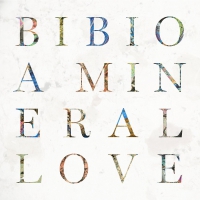 Bibio - A Mineral Love vinyl cover