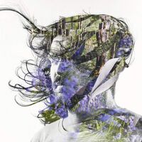 Bibio - Ribbons vinyl cover