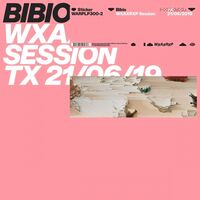 Bibio - Wxaxrxp Session vinyl cover