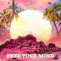 Big Gigantic - Free Your Mind vinyl cover