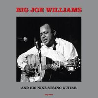 Big Joe Williams - And His Nine String Guitar 180Gm vinyl cover