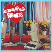 Big Mess - Cleaning Up With vinyl cover