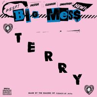 Big Mess - Terry vinyl cover