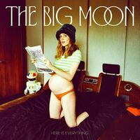 Big Moon - Here Is Everything vinyl cover