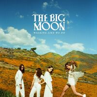 Big Moon - Walking Like We Do vinyl cover
