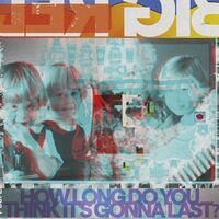 Big Red Machine - How Long Do You Think It's Gonna Last? vinyl cover