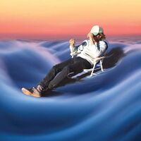 Big Search - Slow Fascination vinyl cover