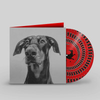 Big Special - Postindustrial Hometown Blues (Zoetrope Picture) vinyl cover