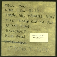 Big Star - Complete Third: Vol. 3: Final Masters vinyl cover