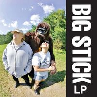 Big Stick - Lp vinyl cover