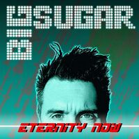Big Sugar - Eternity Now vinyl cover