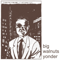 Big Walnut Yonders - Big Walnuts Yonder vinyl cover