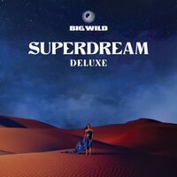 Big Wild - Superdream - Deluxe vinyl cover