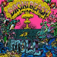 Bikini Beach - Atoll vinyl cover